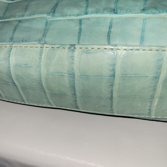 COPY - Beautiful Seafoam Green Dooney & Bourke Purse - Picture 8 of 9